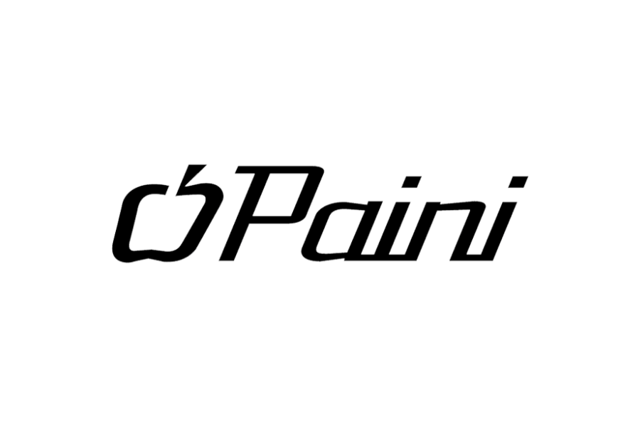 PAINI